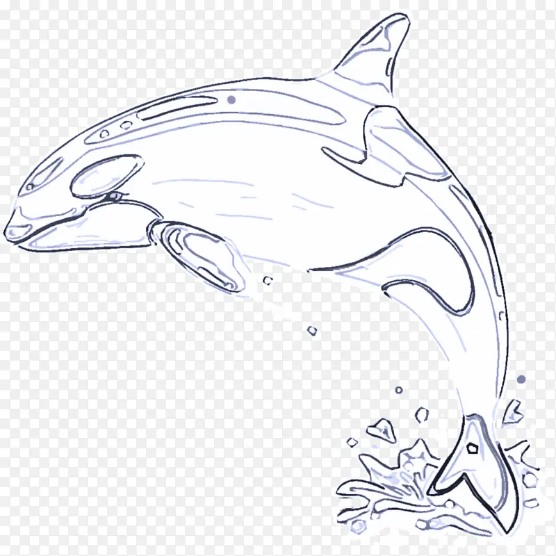 宽吻海豚 海豚 线条艺术