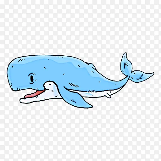海洋哺乳动物 鲸目动物 宽吻海豚