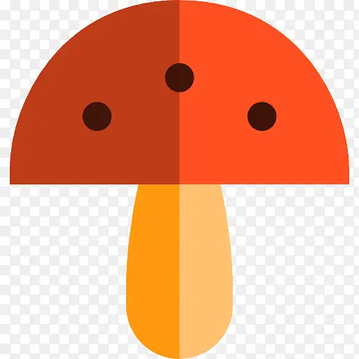 橙色 蘑菇 材料特性