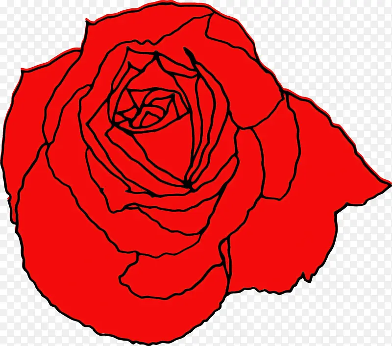 红色 花园玫瑰 玫瑰