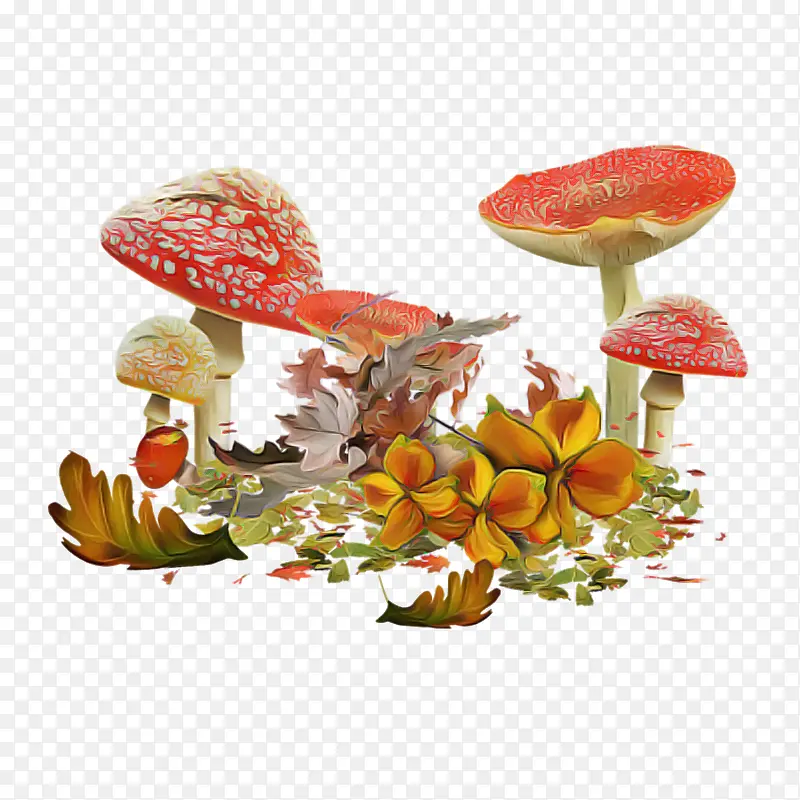 木耳 蘑菇 叶子