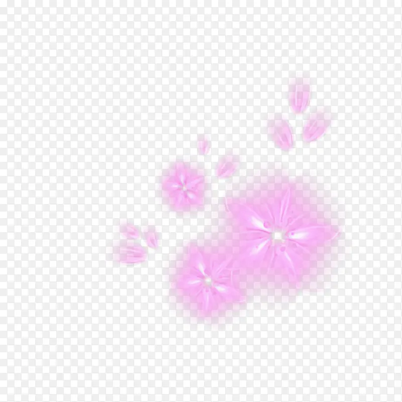 粉色 紫色 丁香
