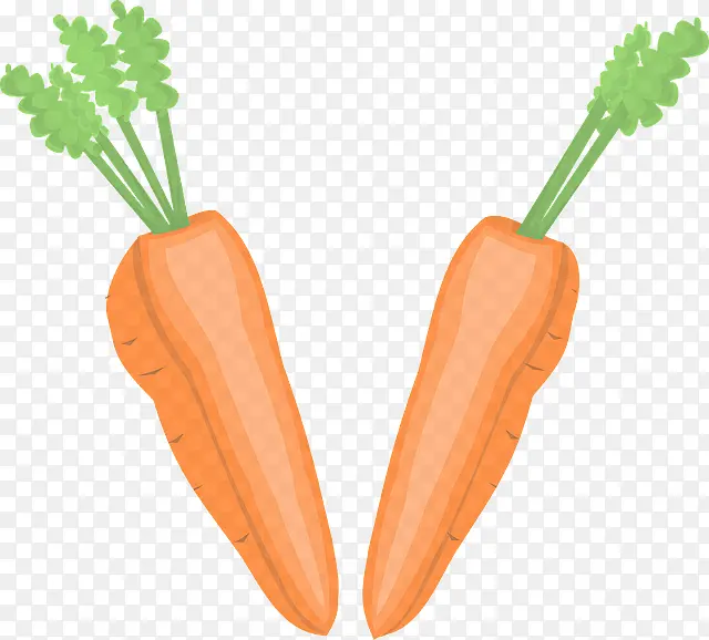 胡萝卜 根类蔬菜 小胡萝卜
