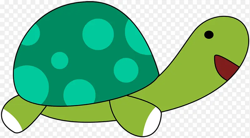 绿色 海龟 乌龟