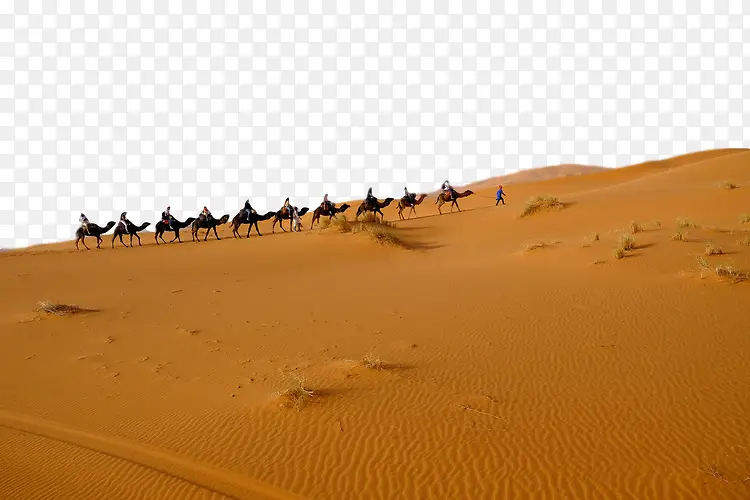 沙漠 沙子 风成地貌