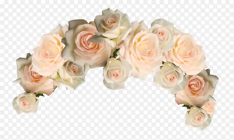 白色 玫瑰 切花