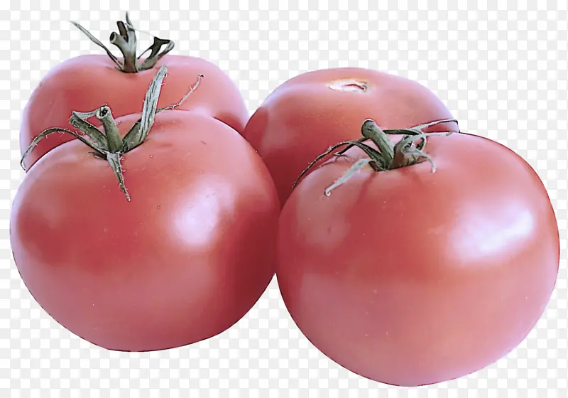 番茄 天然食品 茄属