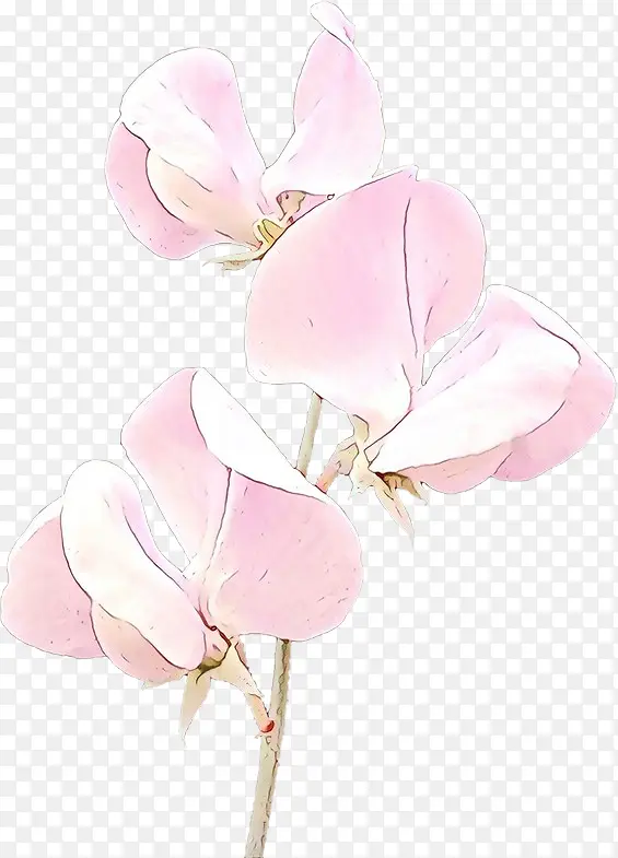 卡通 粉色 花瓣