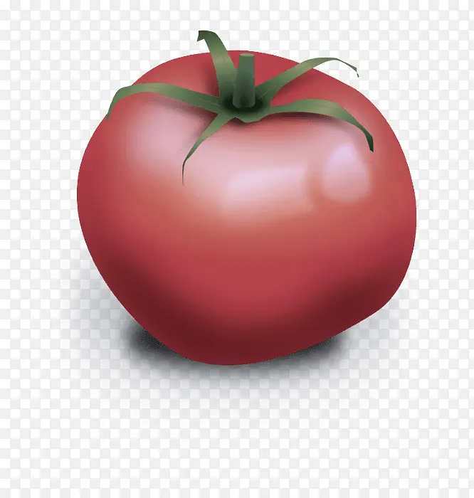 天然食品 番茄 水果