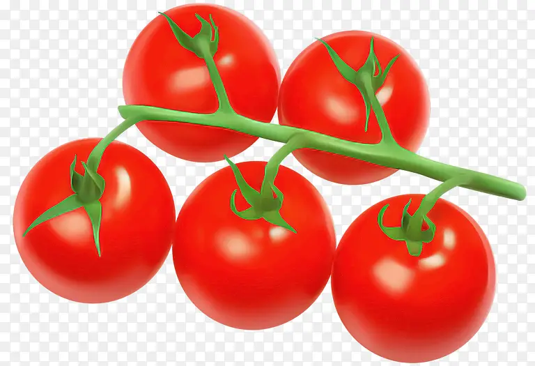 天然食品 水果 番茄