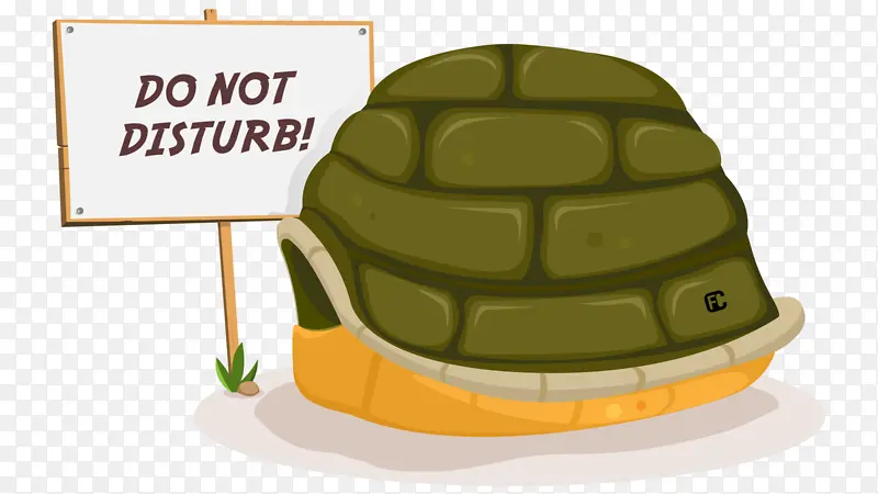 乌龟 爬行动物 池龟