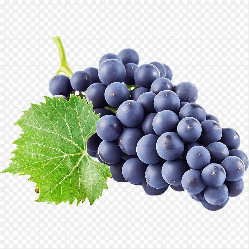 葡萄 天然食品 无籽水果