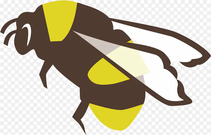 昆虫 害虫 大黄蜂