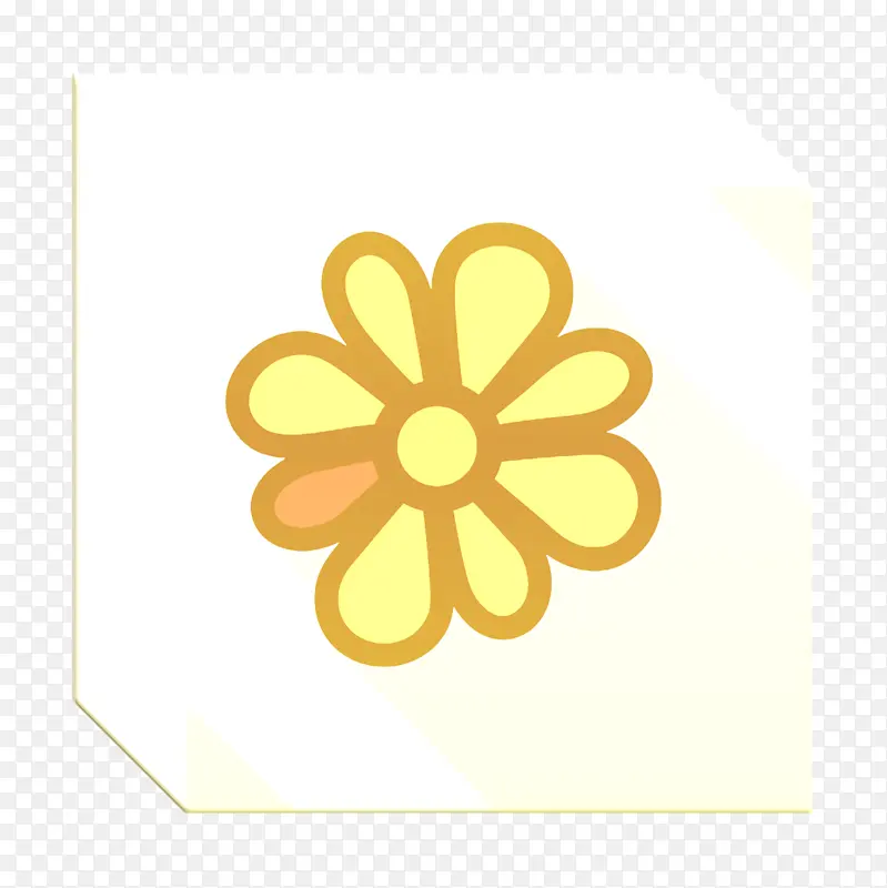 黄色 花瓣 植物