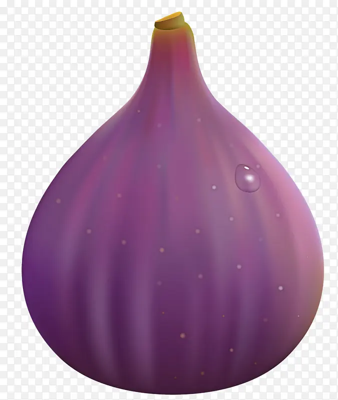 紫色 花瓶 洋葱