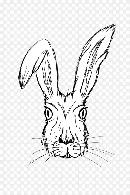 兔子 线条艺术 头部