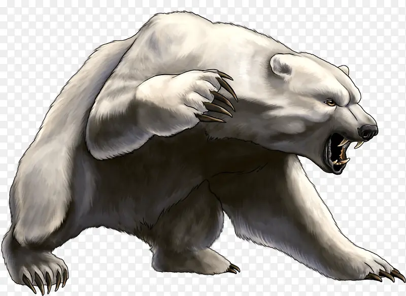 熊 动物形象 鼻子