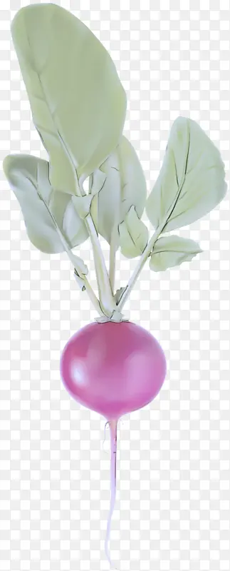 粉色 气球 花朵