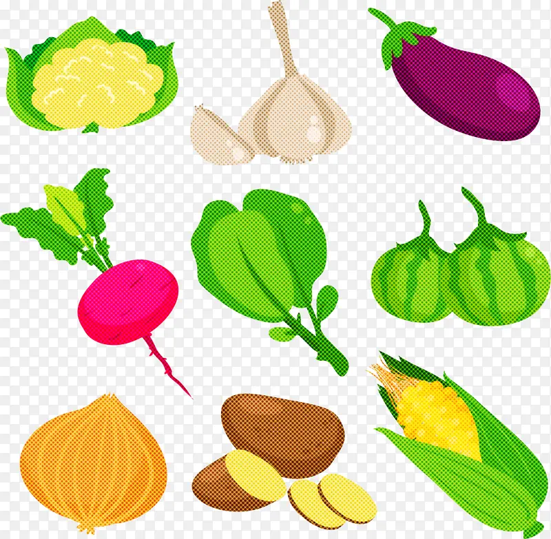 叶 食物组 蔬菜