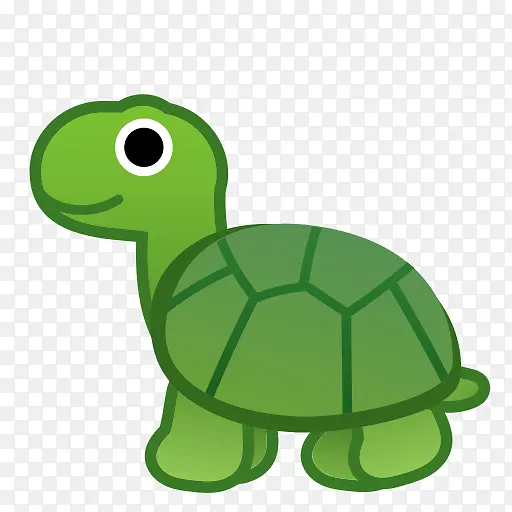 乌龟 绿色 海龟