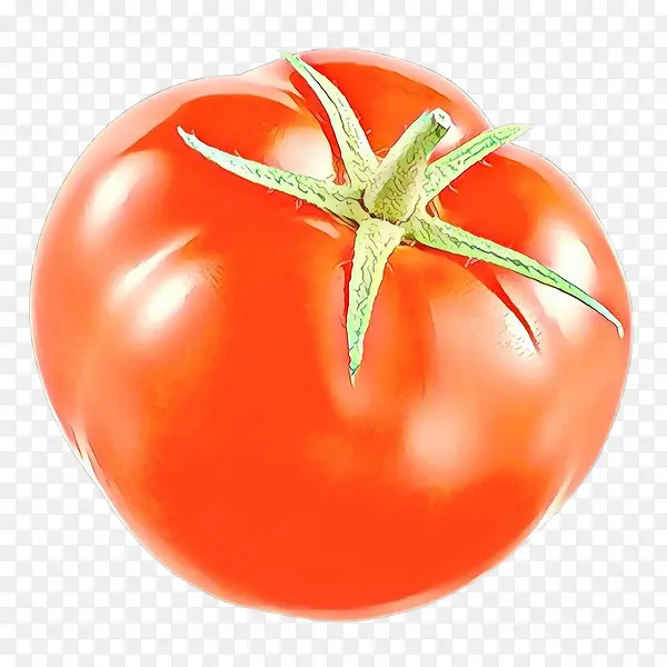 番茄 茄属 天然食品