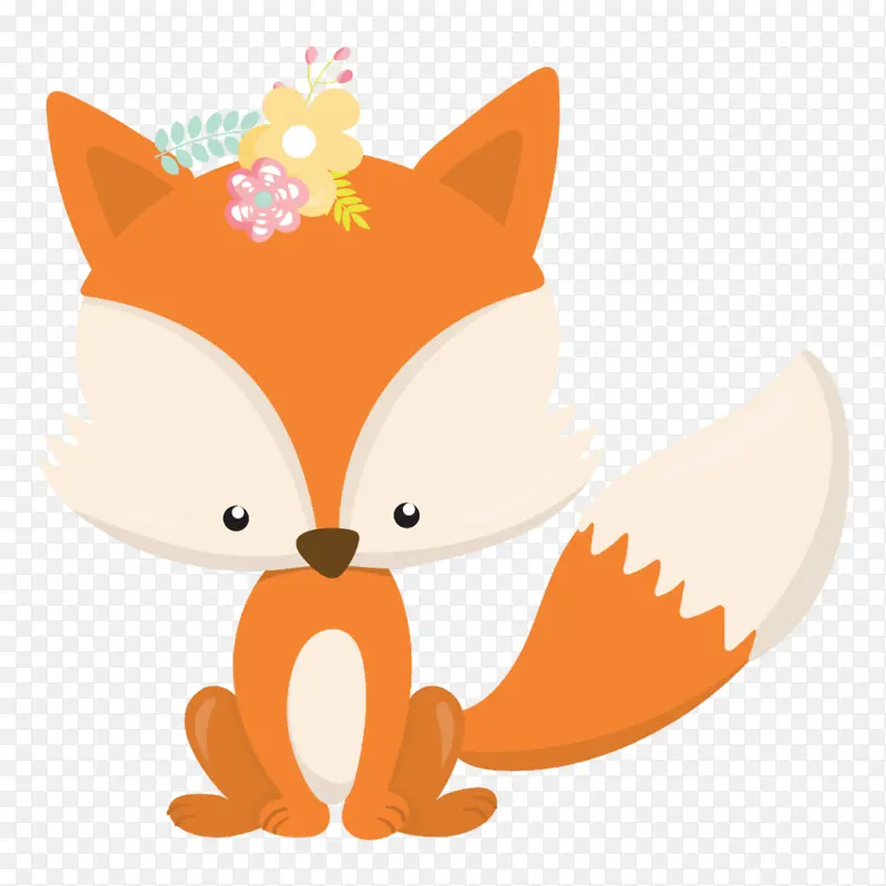 红狐狸 橙色 狐狸