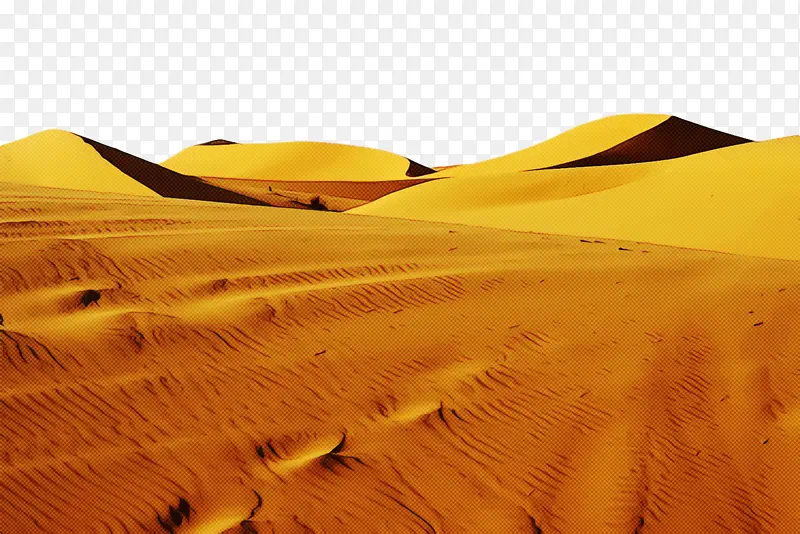 沙漠 沙子 自然环境