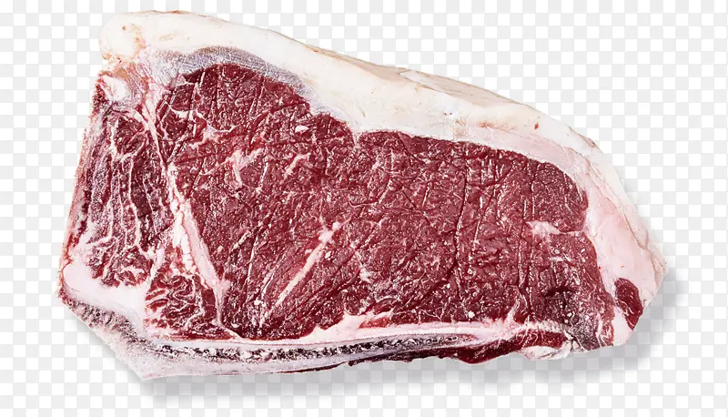 食品 动物脂肪 神户牛肉