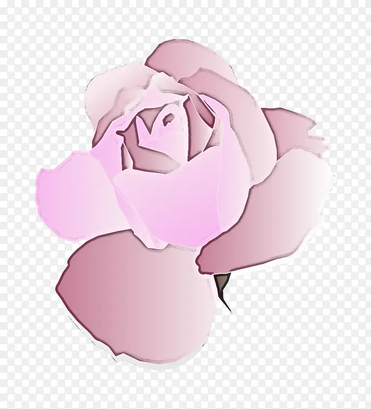 粉色 玫瑰 花瓣
