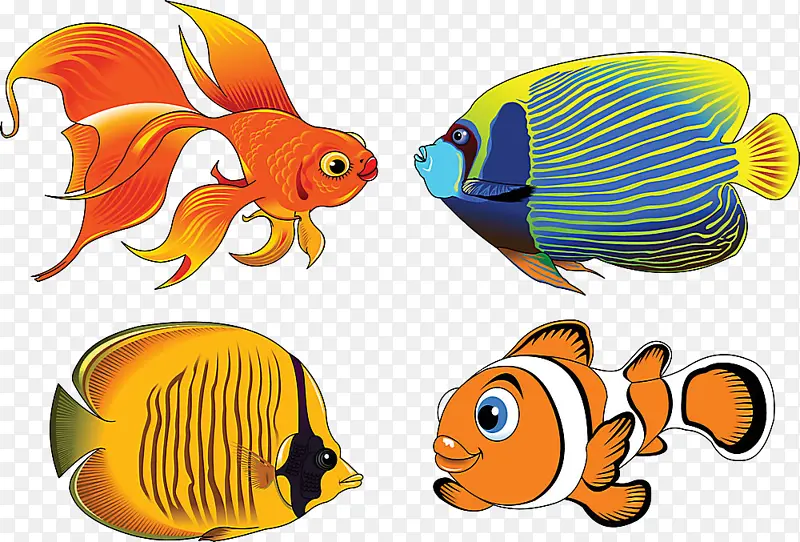 鱼 鲳科 水族馆装饰