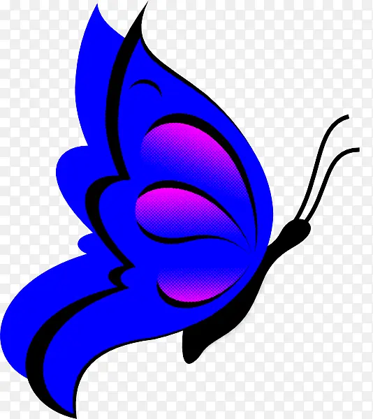蝴蝶 电蓝 飞蛾和蝴蝶