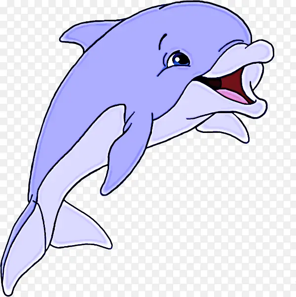 海豚 宽吻海豚 短喙普通海豚