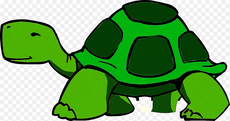 绿色 乌龟 爬行动物