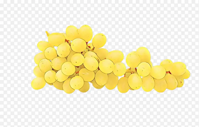 葡萄 黄色 葡萄科