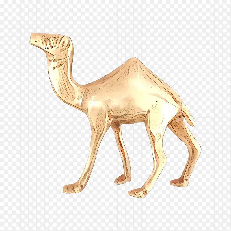 骆驼 阿拉伯骆驼 动物形象