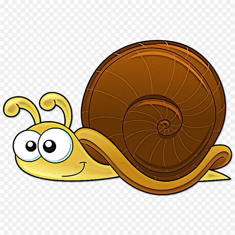 蜗牛和蛞蝓 蜗牛 海蜗牛