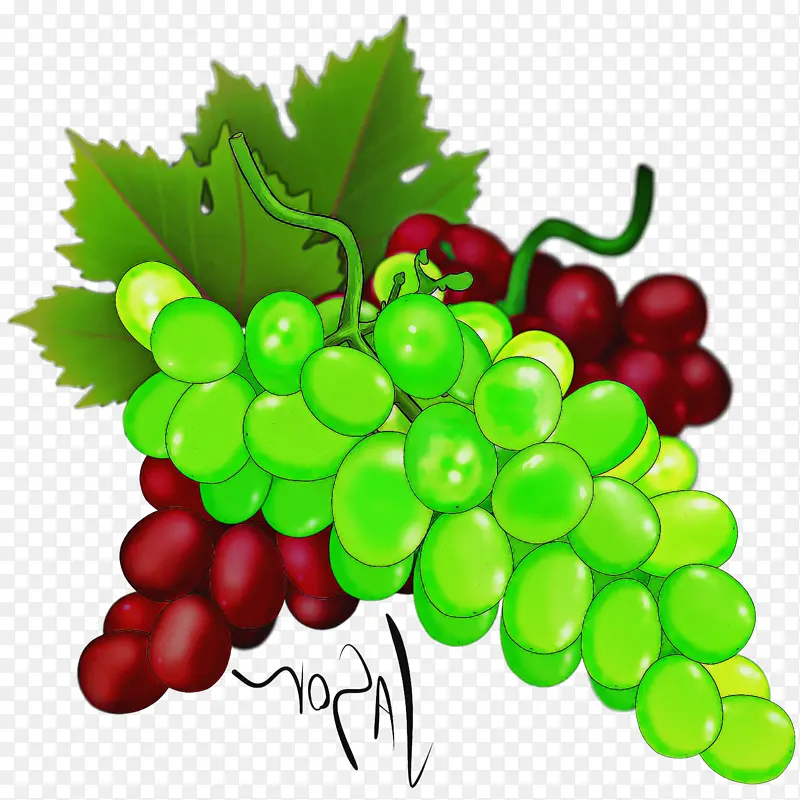 采购产品葡萄 天然食品 无籽水果