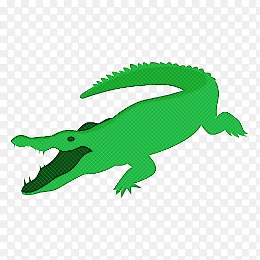 鳄鱼 爬行动物 绿色