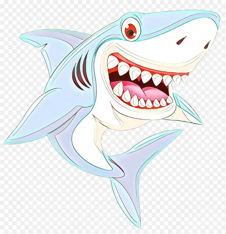 鱼 大白鲨 鲨鱼
