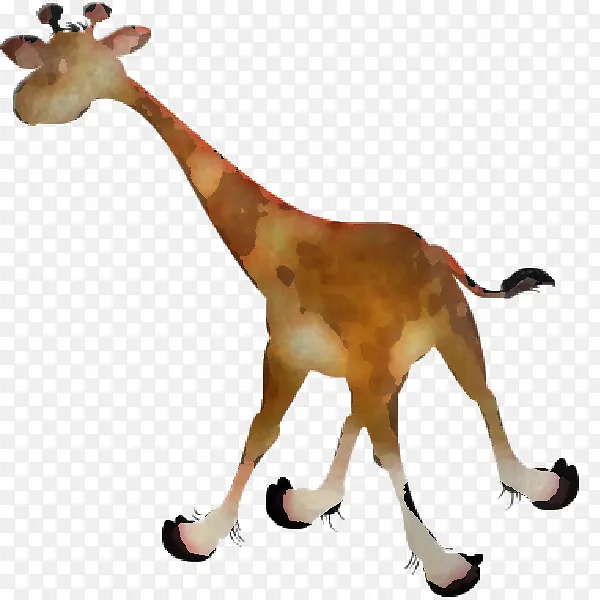 长颈鹿 长颈鹿科 动物形象