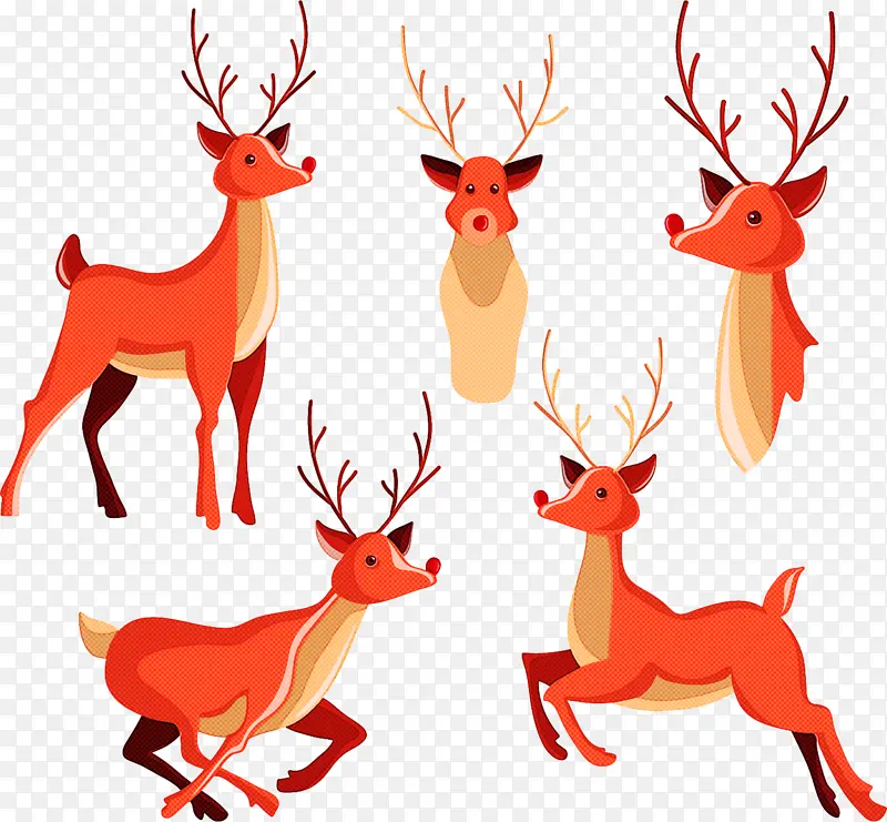 驯鹿 鹿 动物形象