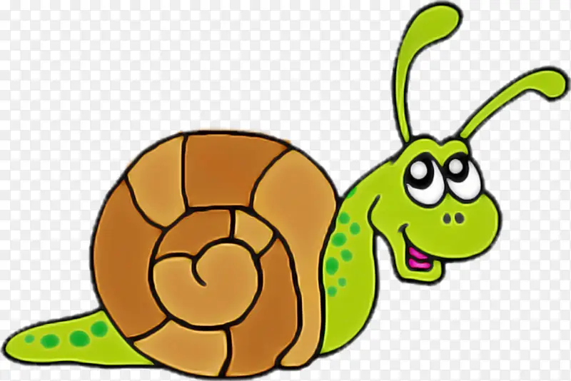 卡通 昆虫 蜗牛和蛞蝓