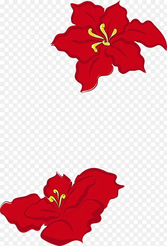 红色 花 夏威夷木槿