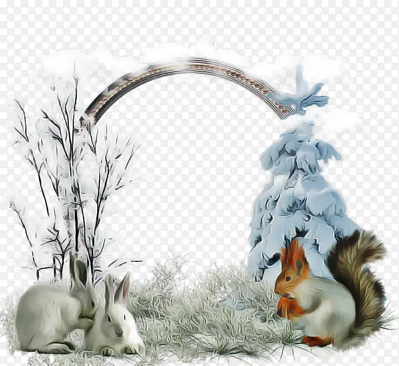 兔子 兔子和兔子 相框