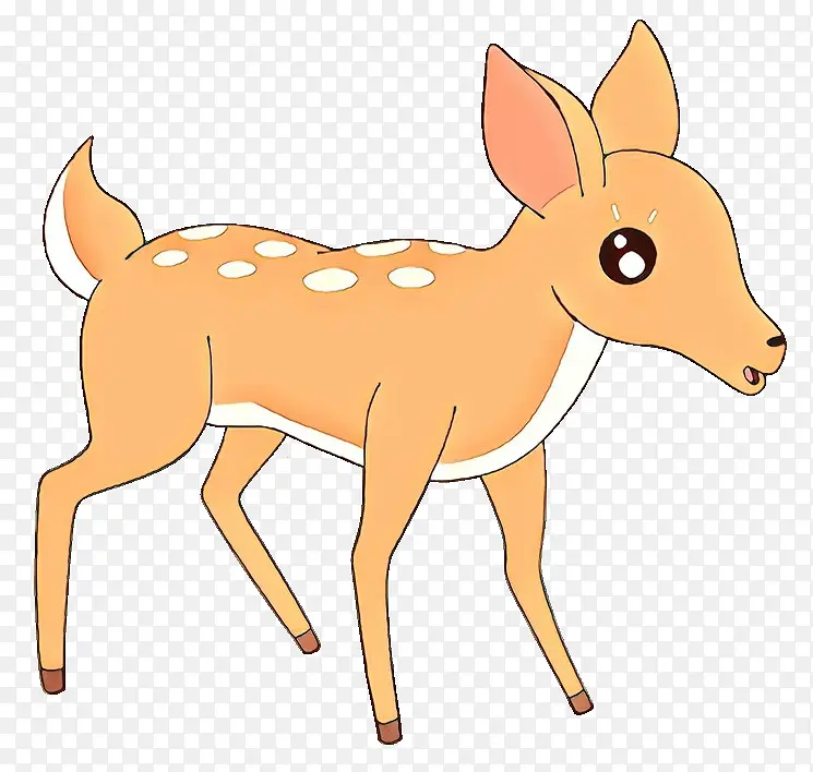 鹿 狍 野生动物