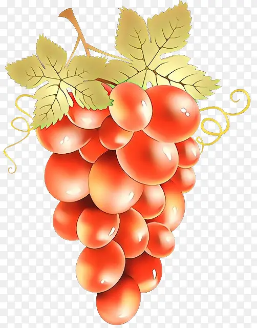 葡萄 无籽水果 水果