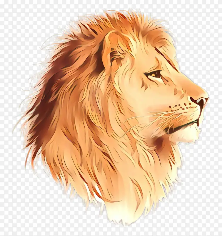 狮子 头发 马赛狮子