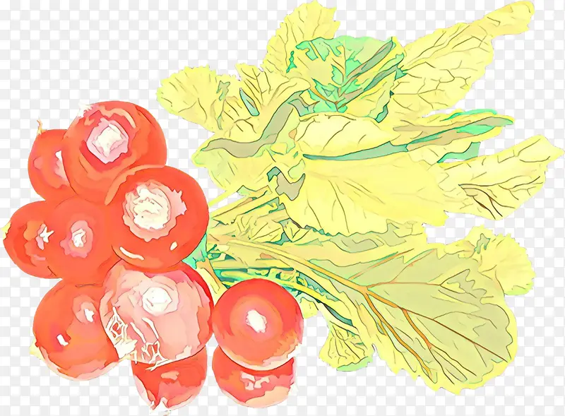 水果 葡萄 植物