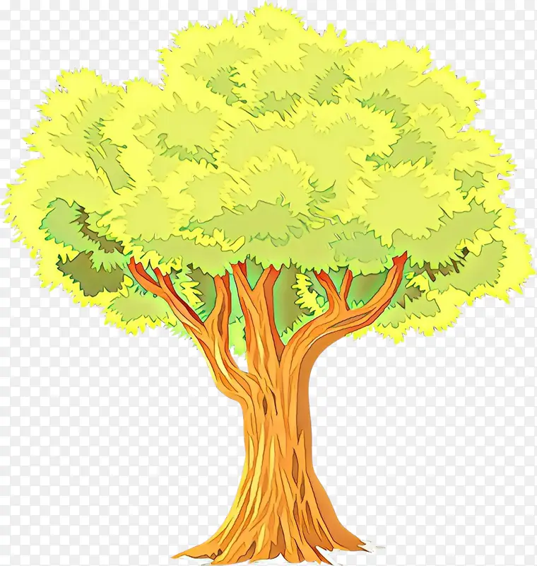 树木 黄色 植物
