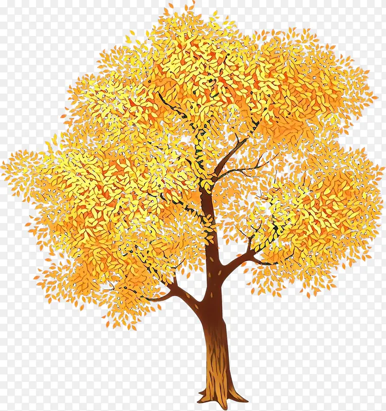 树 黄色 木本植物
